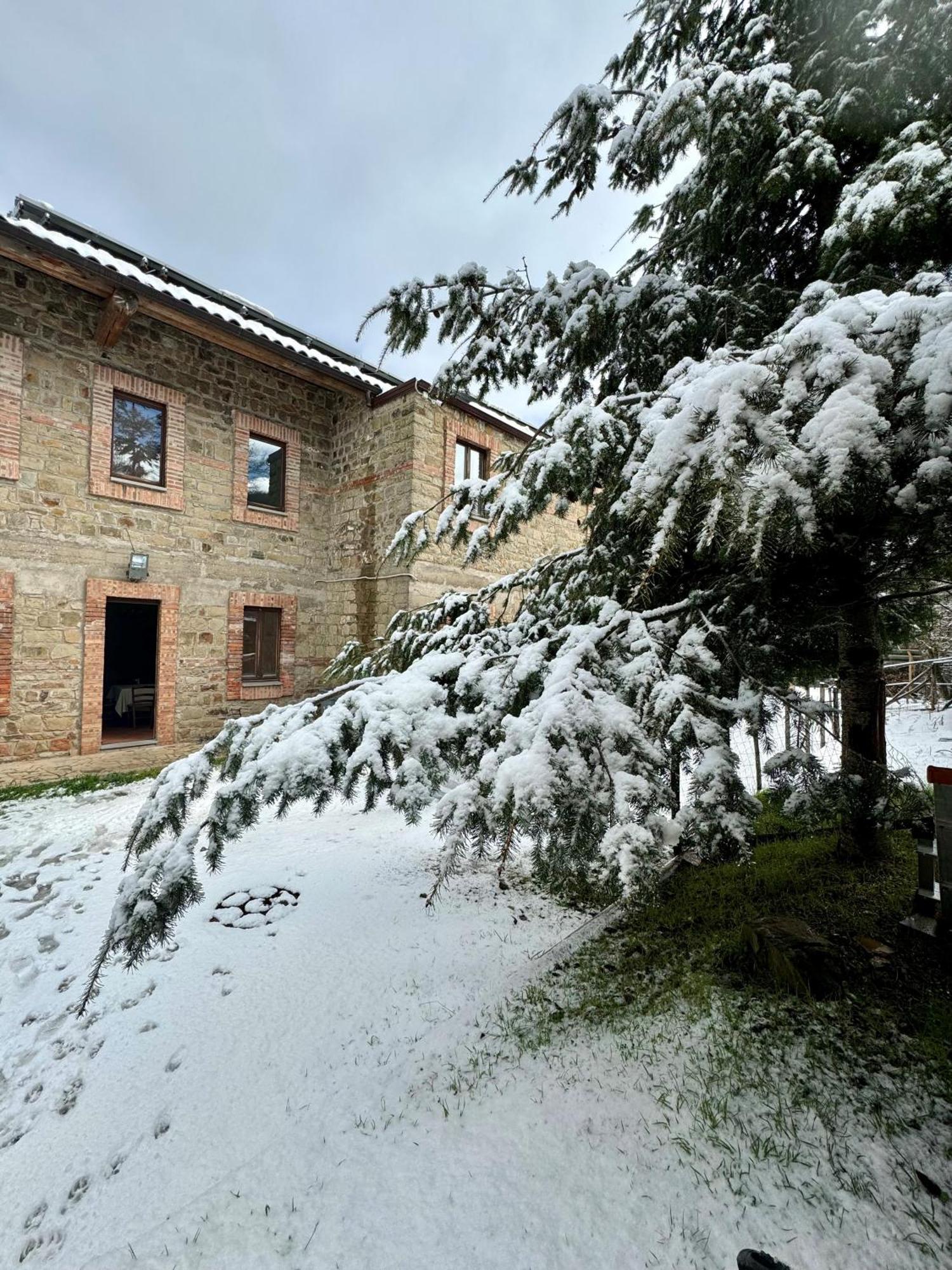 Hotel Nebris - Rifugio Del Parco San Fratello Esterno foto