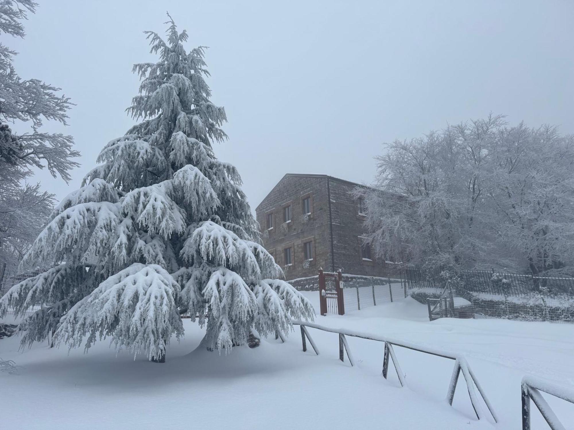Hotel Nebris - Rifugio Del Parco San Fratello Esterno foto